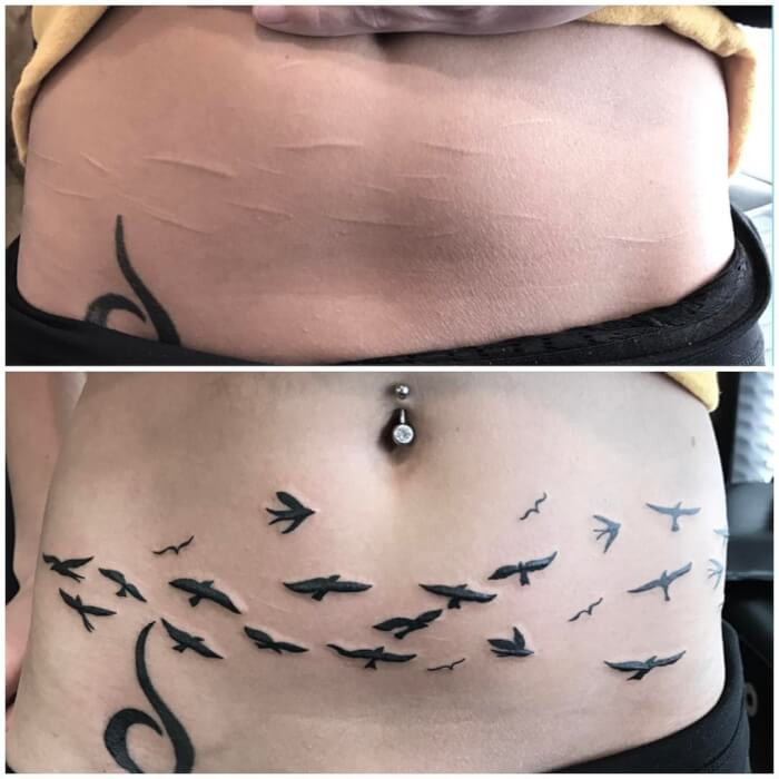 20. Calm birds roaming around and instilling confidence