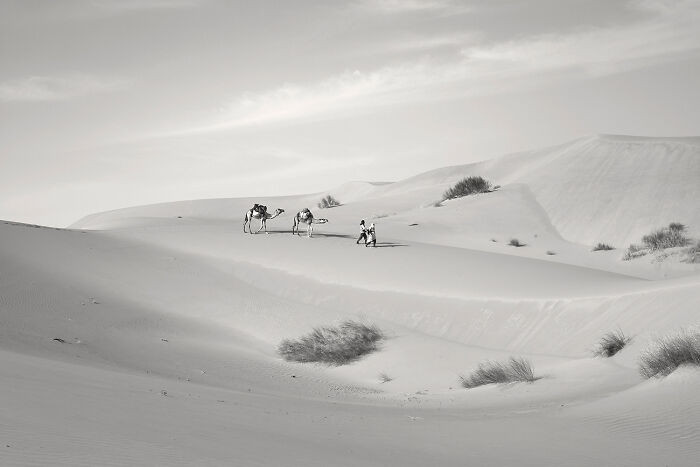 Day 23 From The Series 'Drylands' By Isabelle Kettner