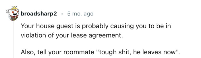 OP and her roommate could be in violation of their lease terms without even knowing