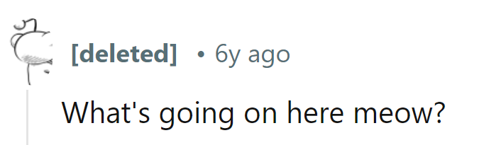 Just a purr-fectly normal day in the cat-tle grounds!