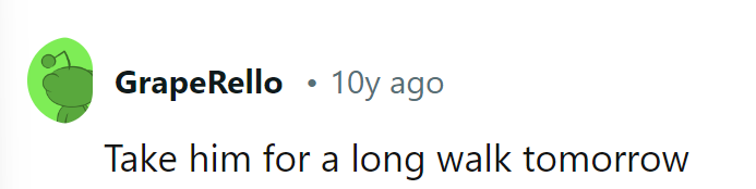 Tomorrow's agenda: Long walk for the pooch, short leash for revenge tactics!