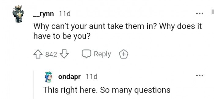 Why do you have to be the one to take them in?