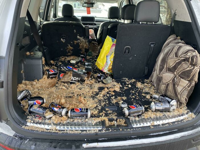 "I Forgot The Pepsi Was In The Back Of My Car, And It Was -16 Fahrenheit The Night Before Last"