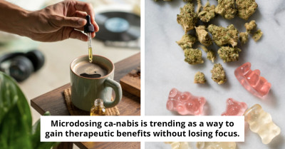Uncovering the Risks and Motivations Behind Microdosing Cannabis