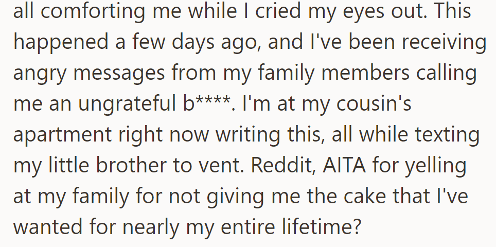 OP's cousin and brother comforted her amid family backlash. They're at their cousin's, seeking Reddit's judgment on her outburst over the cake.