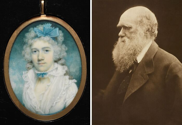 Susannah Darwin (1765-1817) - Mother Of Charles Darwin