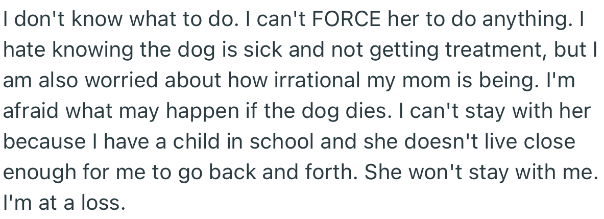OP got confused about how to handle the situation because losing this dog would be chaotic for her mom