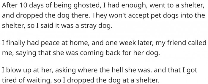 After ten days of being ghosted, OP had enough and took the dog to a shelter. Her friend called a week later, and she was furious.