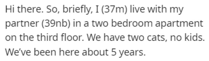 OP has been living with their partner in their apartment for the past 5 years