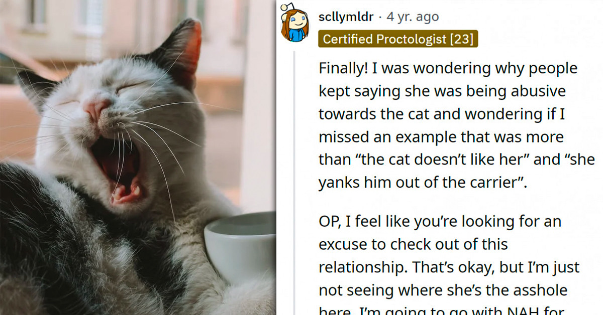 Guy Wants To Break Up With Girlfriend To Save His Cat's Mental Health