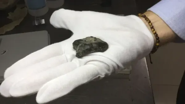 Bones Belonging to Homo Erectus Were Discovered by Harold Berghuis.