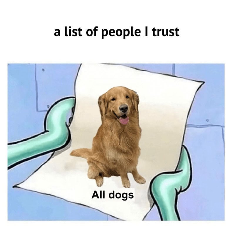 13. The only trustworthy crew—furry, loyal, and always ready for snacks.