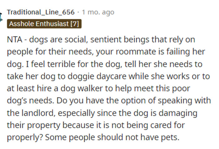 Some people shouldn't have pets, and honestly, we feel terrible for the roommate's dog as well.
