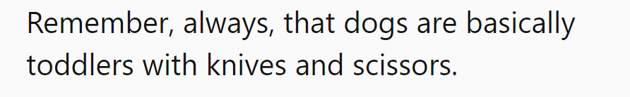 Remember, dogs are like toddlers with knives—adorable chaos wrapped in potential danger at every turn!