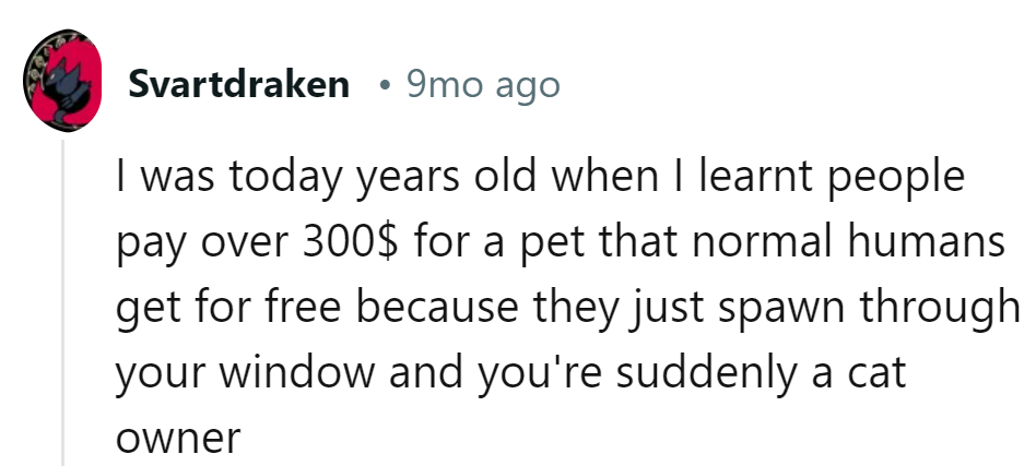 300 bucks for a cat? They should've just left the window open!