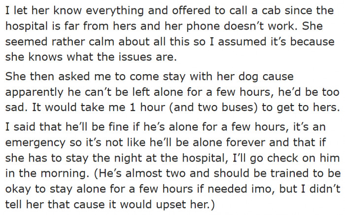 Since it's an emergency, the sister asked the OP to watch the dog for a few hours.