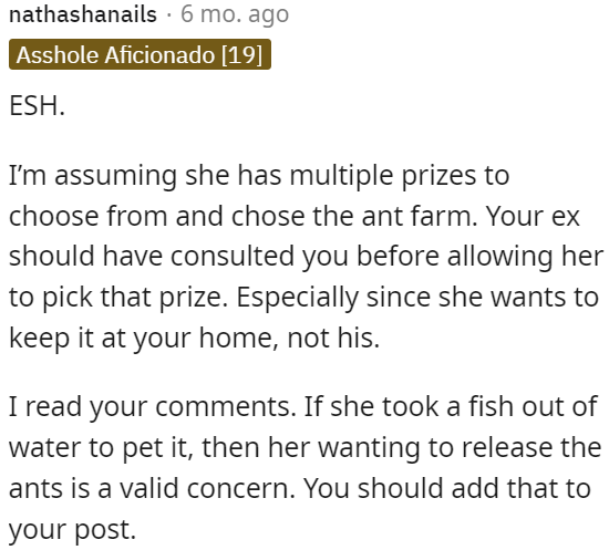 OP's ex should have consulted her before letting their child choose the ant farm as a prize.