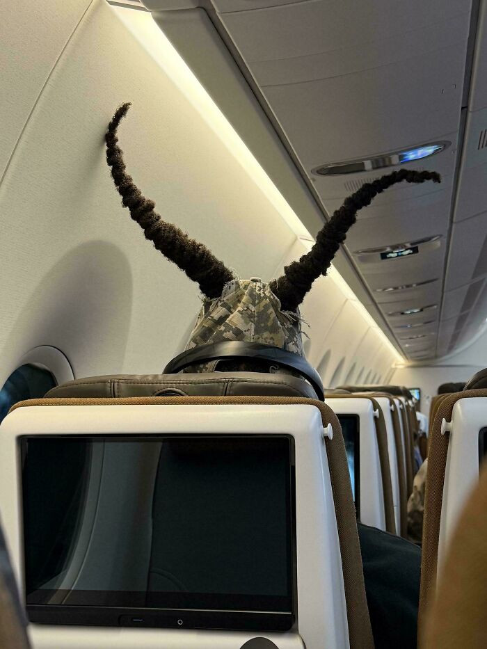 "On My Flight Today"