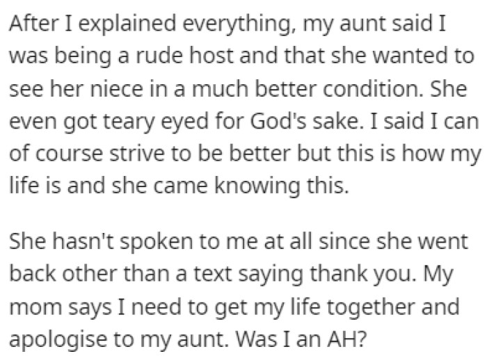 OP Explained Her Situation to the Aunt, but the Aunt Accused Her of Being a Rude Host