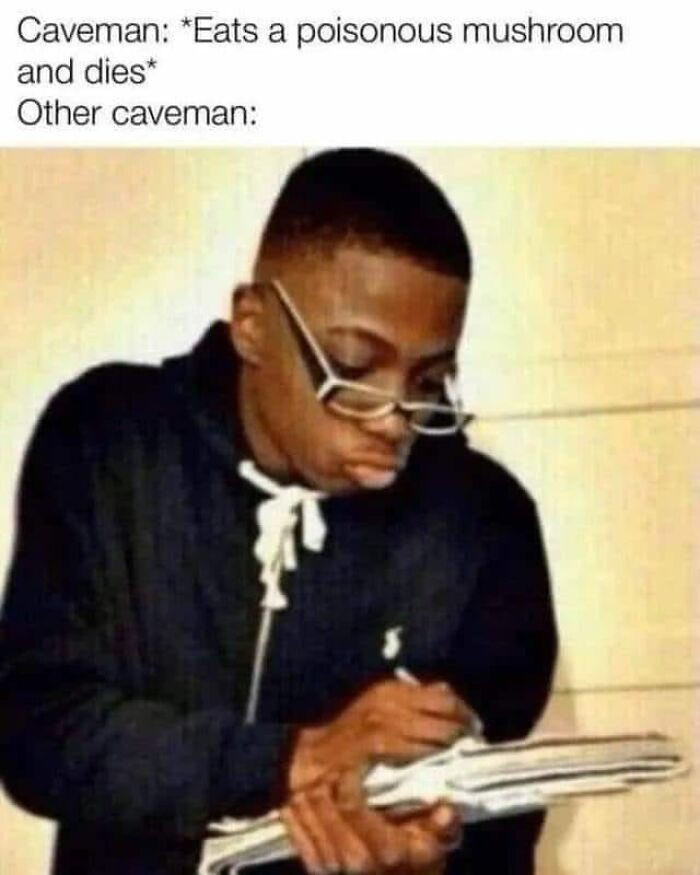 12. All mushrooms are edible, but some only once