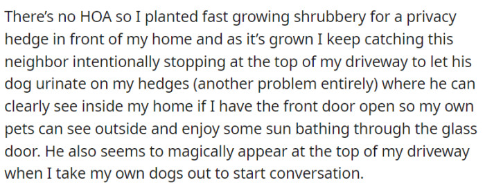 OP planted fast-growing shrubbery for privacy in an HOA-free neighborhood but faces a neighbor who deliberately allows his dog to intrude on their privacy and start conversations with them.