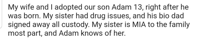 OP and his wife decided to adopt his sister's son, Adam. Apparently, his sister has drug-related issues, and Adam's dad signed away all custody.