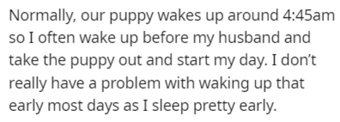 The puppy usually wakes up before the husband, so OP takes him out, and that's how her day starts