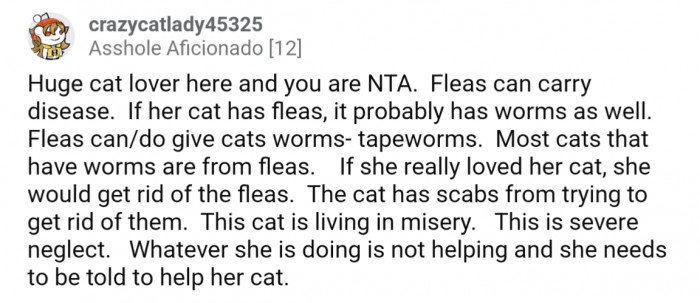 Fleas are a major health hazard to everyone, the cat included