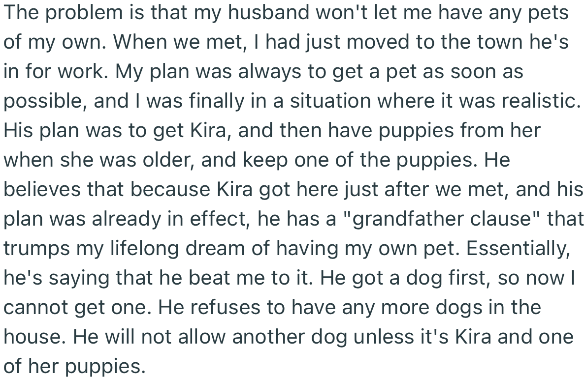 OP’s husband has refused her from getting another dog.