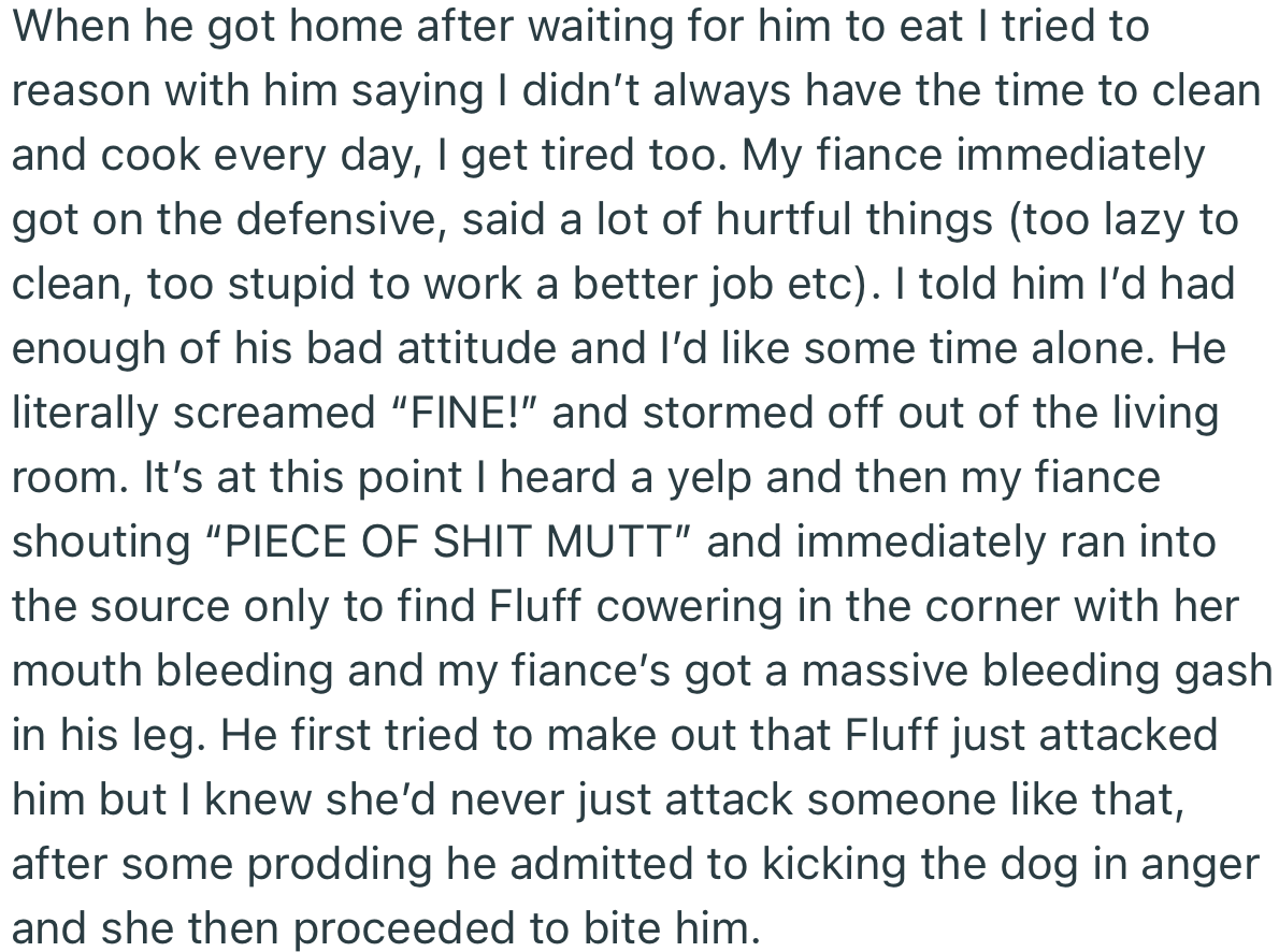 Out of anger, OP’s fiancé kicked her dog. But he got bitten in the process.