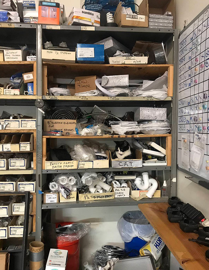 3. A Place For Everything