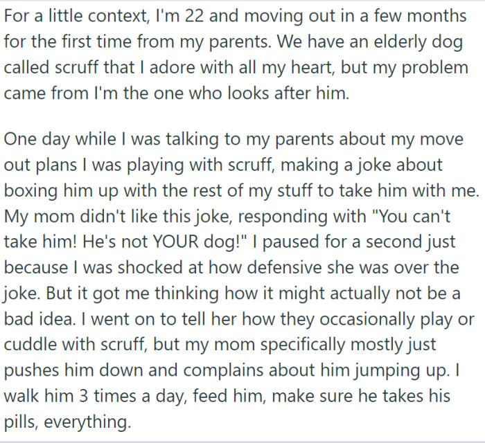 Scruff, an elderly dog, has always been a cherished member of the family. However, OP is the one who takes care of him.