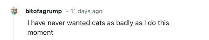 This Redditor is eager to get their hands on the “lesbian” kitties