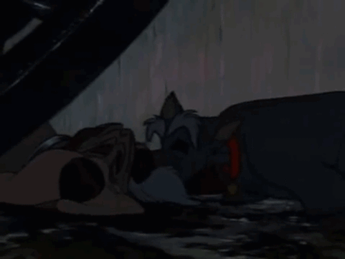 5. When Trusty stopped the dogcatcher's wagon despite risking his own life.