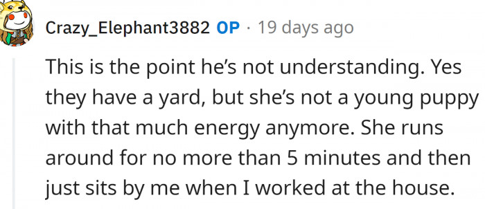 The dog is not a young puppy anymore.