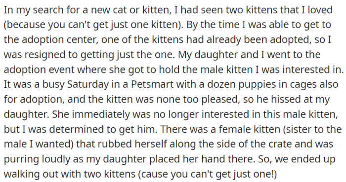 During the search for a new cat or kitten, OP had initially planned on getting only one but encountered a situation where one of the desired kittens had already been adopted.