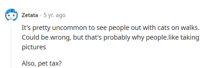 Cats on walks are a rare sight, which is why they're often treated like celebrity sightings. As for the pet tax, it's a mandatory fee for admiring the feline superstar.
