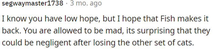 There is serious carelessness in allowing the cat to go outdoors, especially in light of what happened to the previous cats.