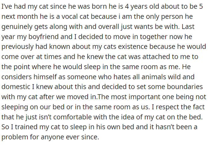 Having raised her cat since birth, OP shares a unique bond with the vocal feline, who will soon celebrate its fifth birthday.