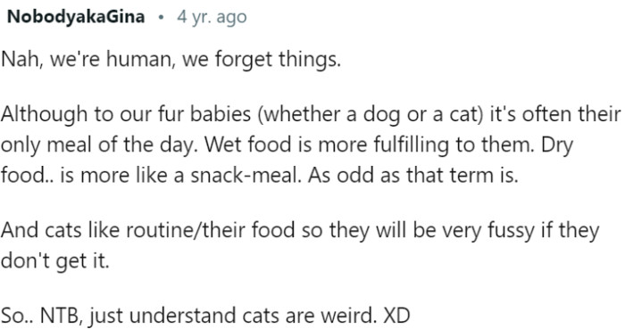 Forgetting Happens, but to Our Fur Babies, Wet Food Is Essential