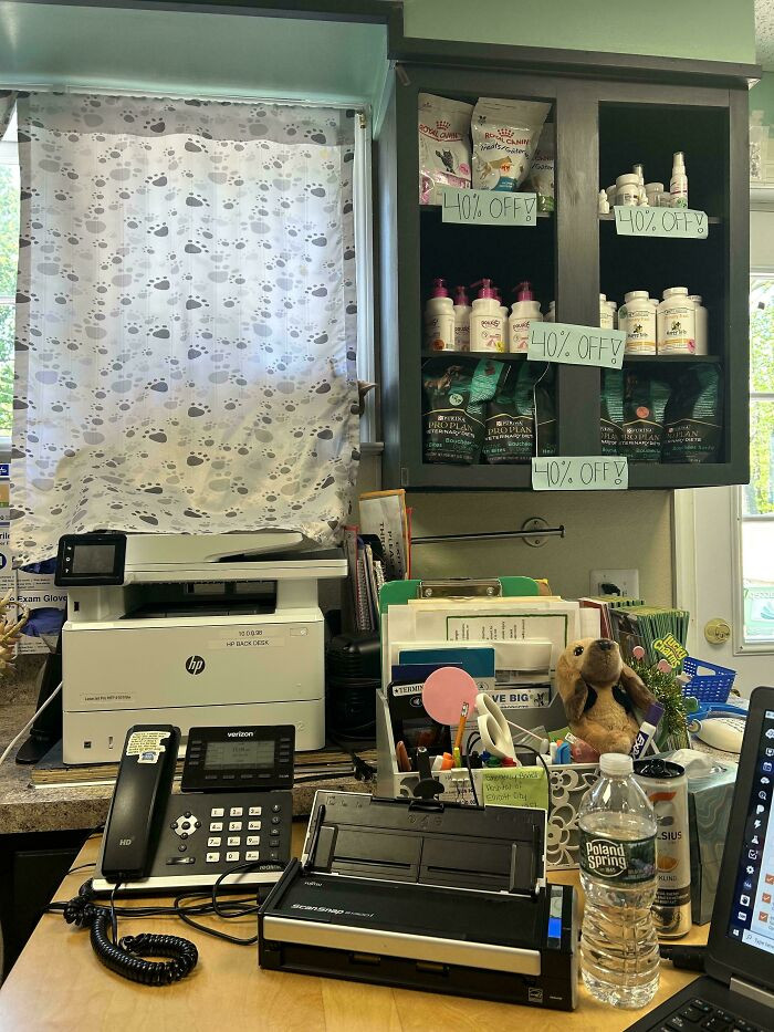 "Anyone seen Cheddar?"
