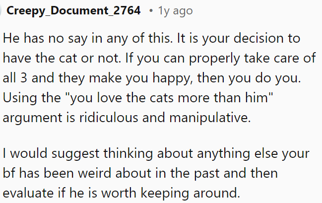 OP's choice is whether to keep the cat.