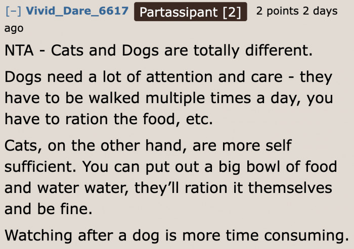 The difference between caring for dogs and caring for cats