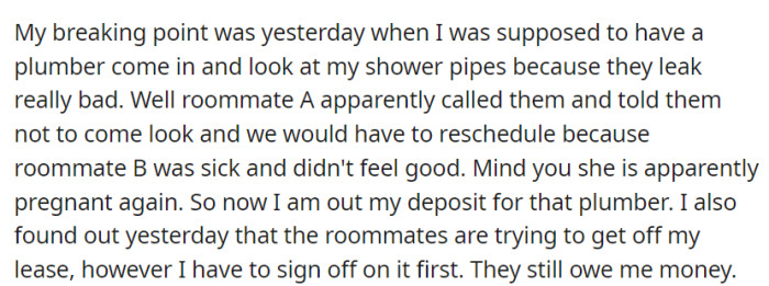 OP's breaking point was reached when Roommate A canceled the plumber's appointment without consent, leading to a lost deposit, and he learned that his roommates were trying to get off the lease while still owing him money.