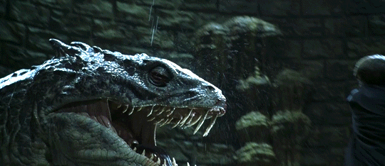 17. The creation of the ‘Chamber of Secrets’ by Salazar Slytherin is questionable to say the least; why even have it under a school?