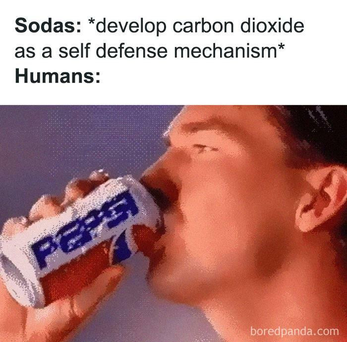 20. Prime Example Of Evolution