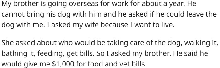 OP's brother is going overseas for work for about a year and cannot bring his dog with him.
