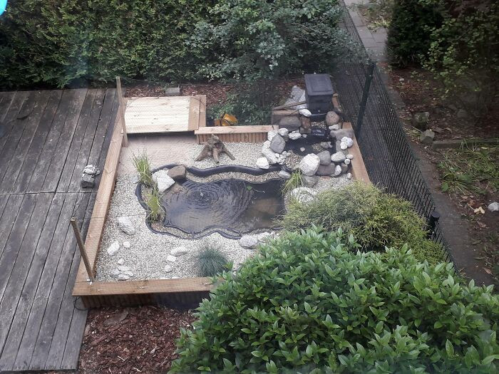 Small pond for backyard design.
