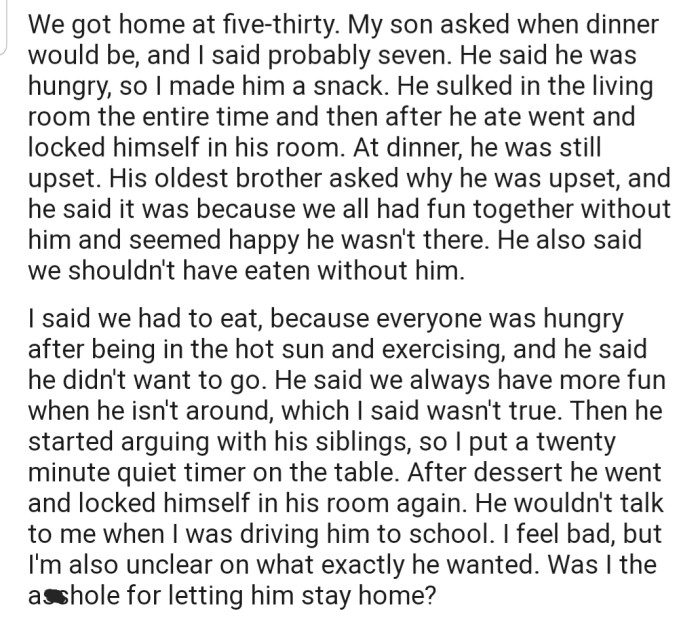Now OP's son is accusing them and his siblings of always having fun without him