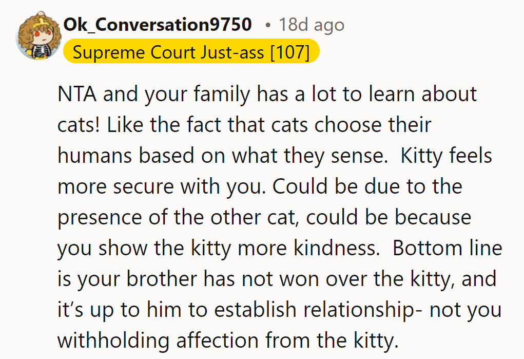 NTA! Cats choose their humans, and the brother needs to win over the kitten’s affection himself.